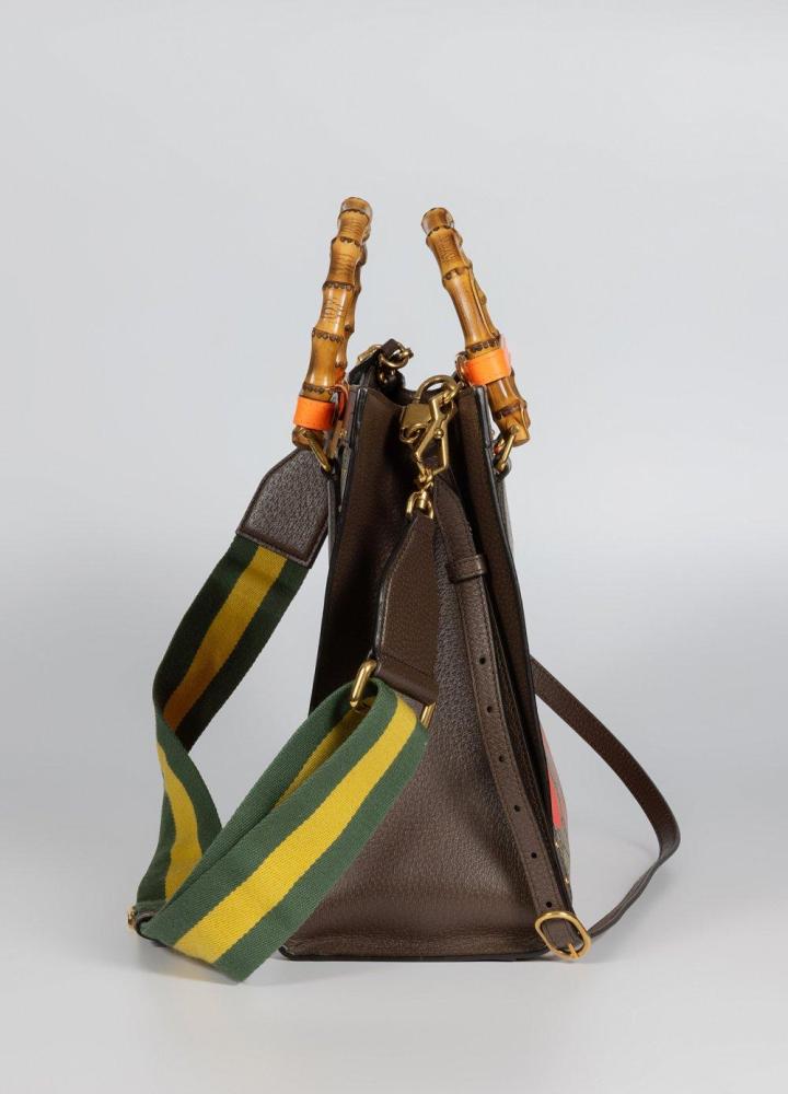 Image 4